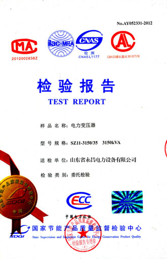 铜陵电力变压器检测报告